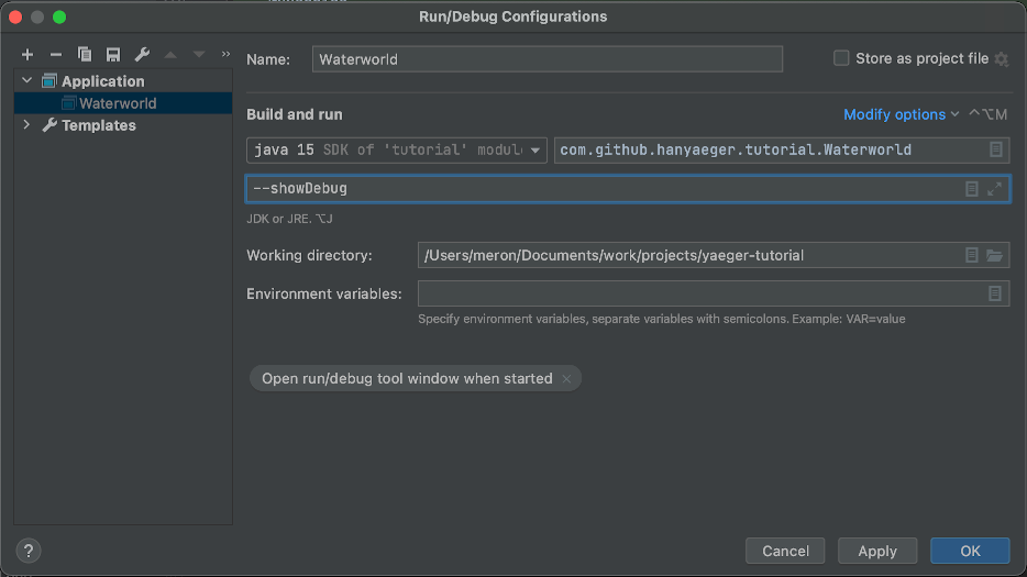 IntelliJ Program arguments